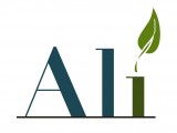 ALI logo